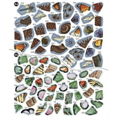 Sticker By Number: Vintage Forest, Paperback - USA MEGA SHOP