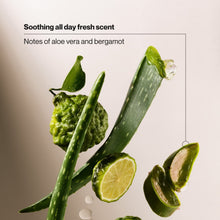 Aloe vera and bergamot ingredient graphic for men’s 3-in-1 shampoo conditioner body wash