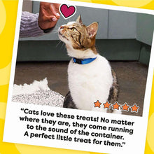 Cat treats variety pack label with cat photo, heart icon, and star rating