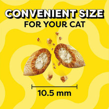 Cat treat bites with size indicator 10.5 mm