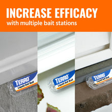 Multiple TERRO liquid ant bait stations along wall edges