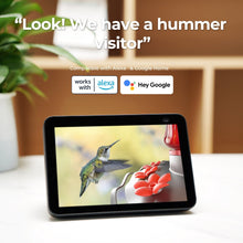 Tablet displaying live view of hummingbird at red glass feeder