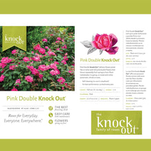 Pink double rose product information graphic with rose blooms and a plant card
