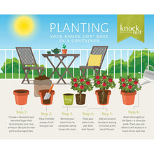 Potted roses planting guide graphic showing multiple containers and a grower pot