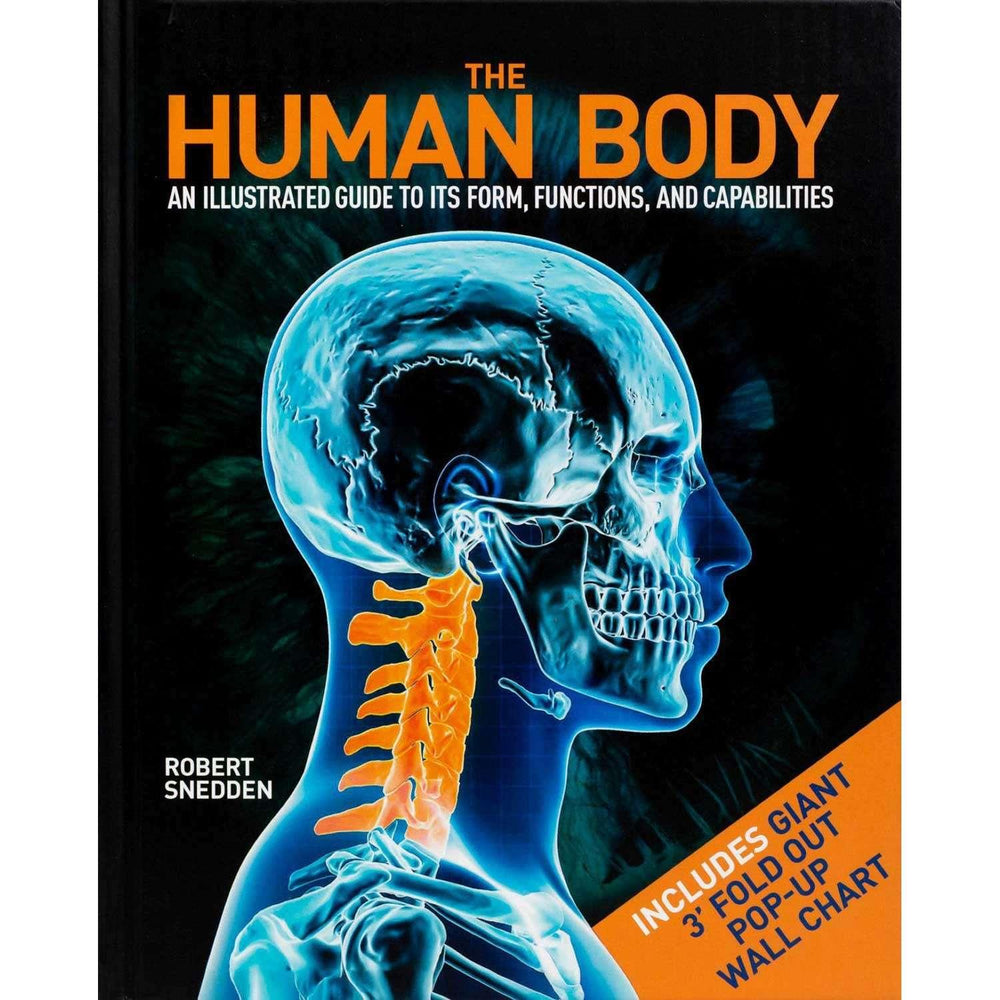 The Human Body, Hardcover - USA MEGA SHOP
