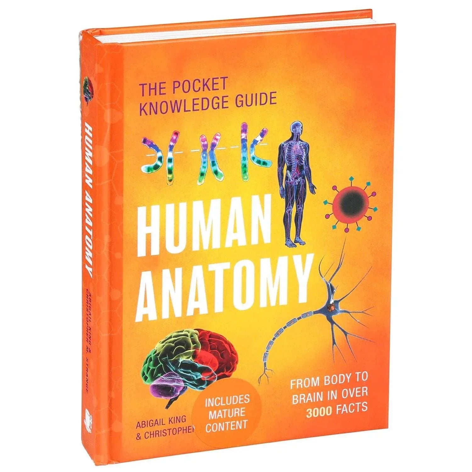 The Pocket Knowledge Guide: Human Anatomy, Hardcover - USA MEGA SHOP