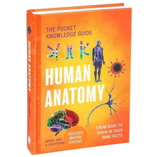 Hardcover human anatomy guide book, orange cover with human figure and brain art