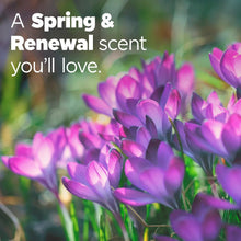 Spring & Renewal scented detergent pods promotion with purple flowers.