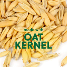 Oat kernels ingredient graphic for moisturizing shave oil