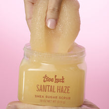 Open Santal Haze shea sugar scrub jar with hand-held, cream scrub on skin