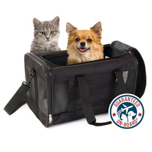 Black medium pet travel carrier with front zip and side handles