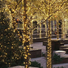 Warm white Christmas string lights draped along an outdoor walkway with lit branches