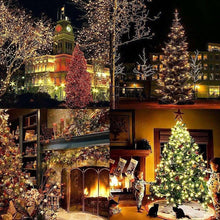 Warm white Christmas string lights wrapped on trees and a decorated outdoor tree