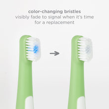 Green toddler training toothbrush with color-changing bristles that fade for replacement