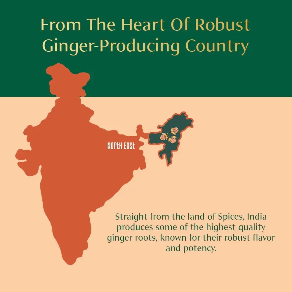 VAHDAM, Organic Ginger Powder (2.47oz) Non-GMO, Made from 100% Raw Ginger Root, Direct from Source - USA MEGA SHOP