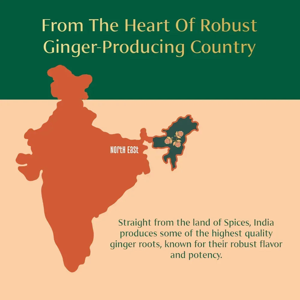 VAHDAM, Organic Ginger Powder (2.47oz) Non-GMO, Made from 100% Raw Ginger Root, Direct from Source