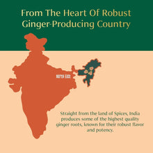 Illustrated India map and ginger-producing country graphic