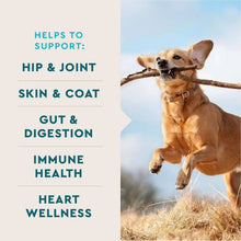 Soft dog chew benefits list for hip & joint, skin & coat, gut, immune, and heart health