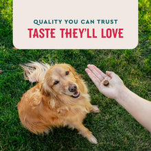 Golden dog on grass holding a soft chew offered by a hand