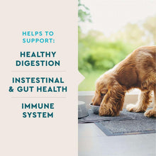 Golden dog on an outdoor mat beside a digestive and immune health benefits panel