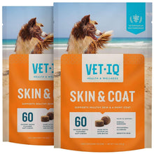 Two dog skin and coat soft chew pouches, orange and white with 60 count