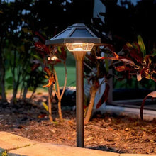 Lit hex-head solar path light on brass stake beside landscaping