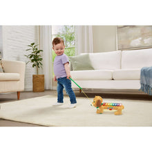 Dog xylophone on floor with child holding a green push wand