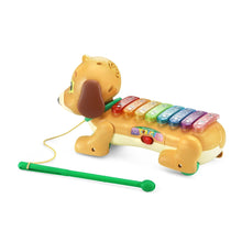 Dog xylophone toy with rainbow keys and green push mallet on yellow body
