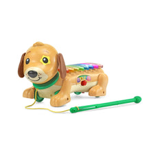 Dog xylophone toy with rainbow top keys, yellow puppy face, and green mallet