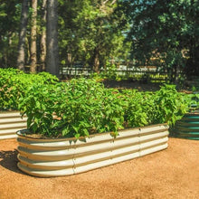 Cream metal raised garden bed planter with dense green leafy plants