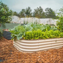 Cream metal raised garden bed planter with mixed leafy greens outdoors