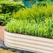 Cream metal raised garden bed planter with tall fresh green grass-like sprouts