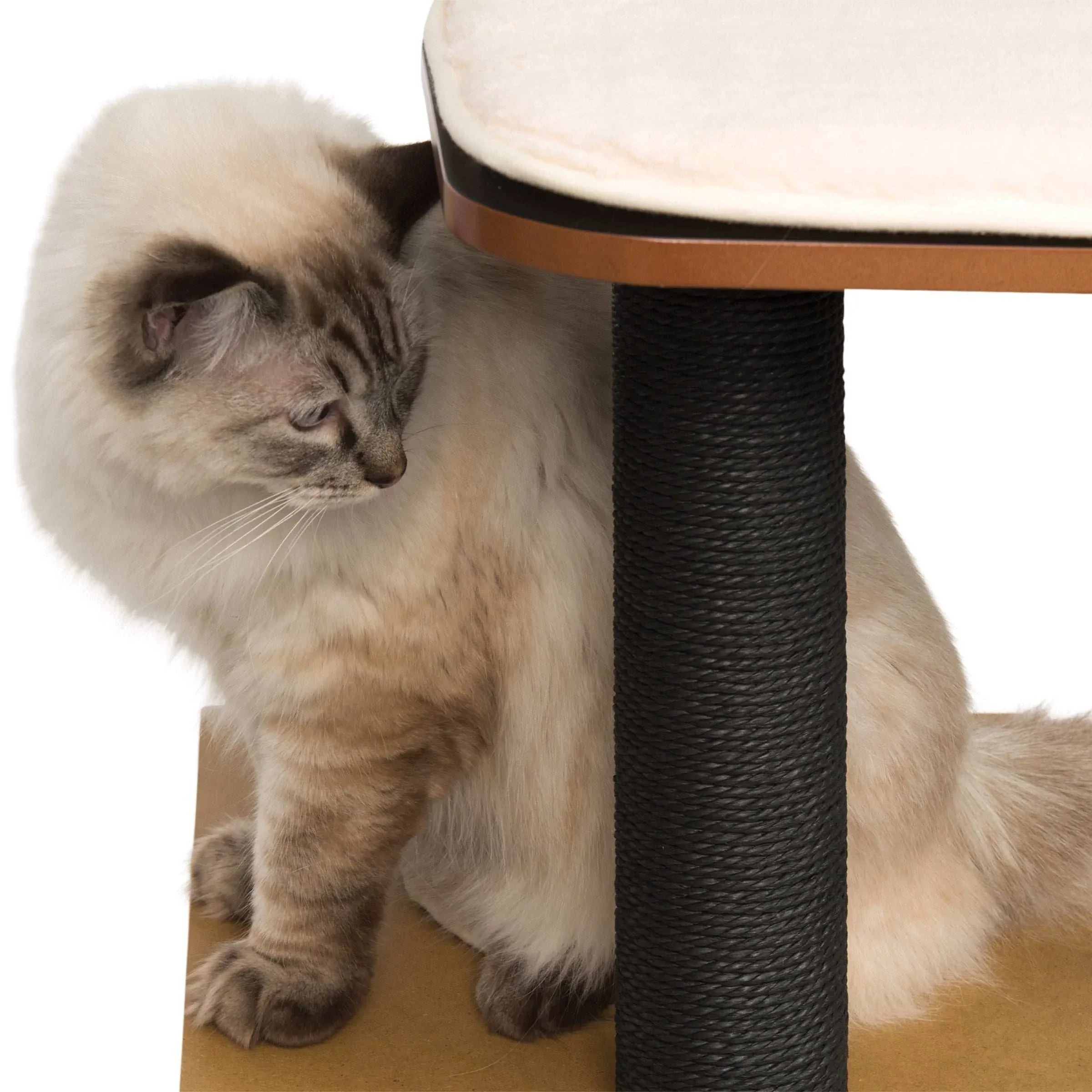 Vesper High Base 47.8 inch Cat Tree, 3 Levels and 1 Condo, Black - USA MEGA SHOP