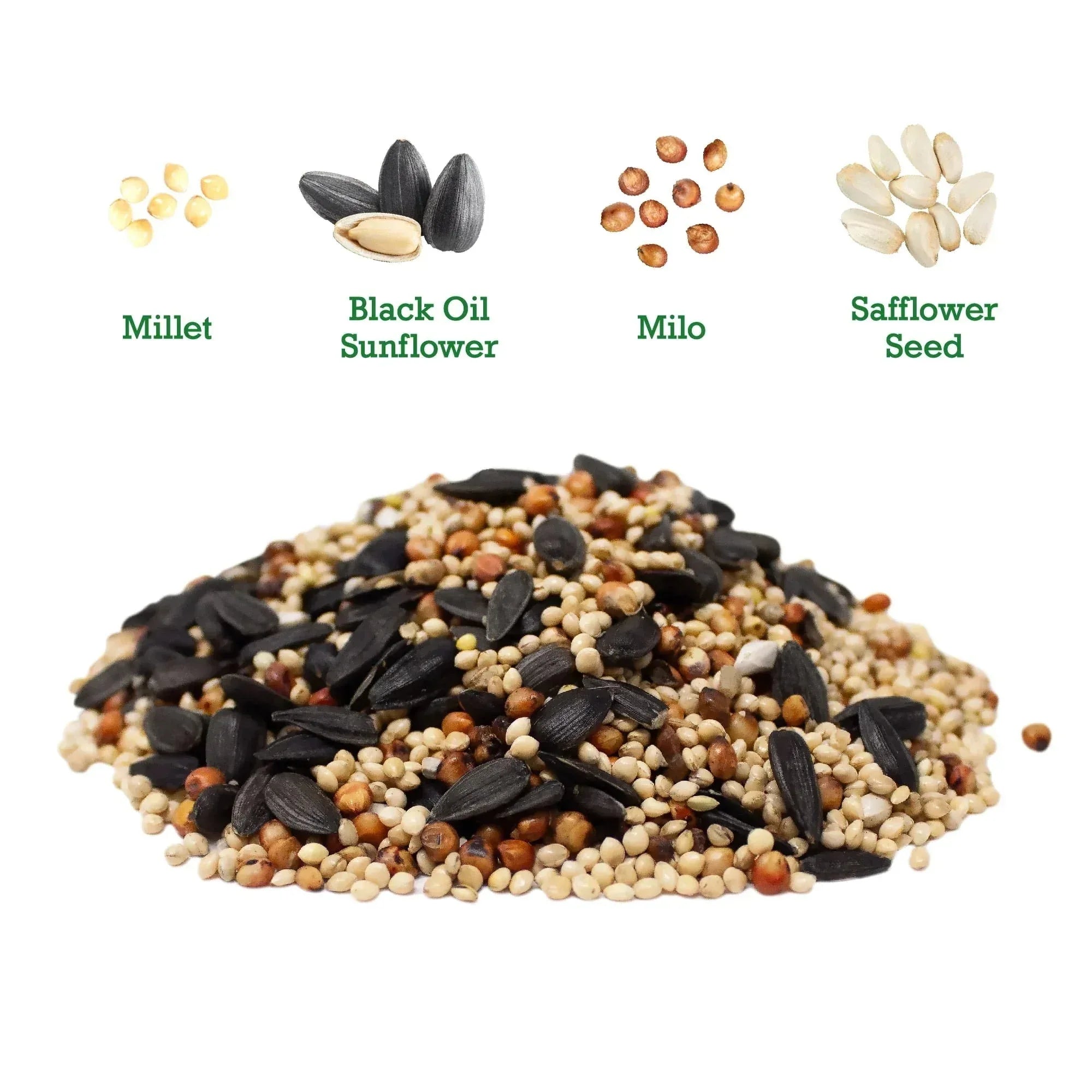 Vibrant Life Songbird Select Wild Bird Seed, 20 lb Bag - USA MEGA SHOP