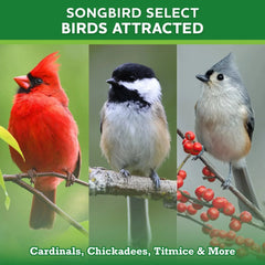 Vibrant Life Songbird Select Wild Bird Seed, 20 lb Bag - USA MEGA SHOP