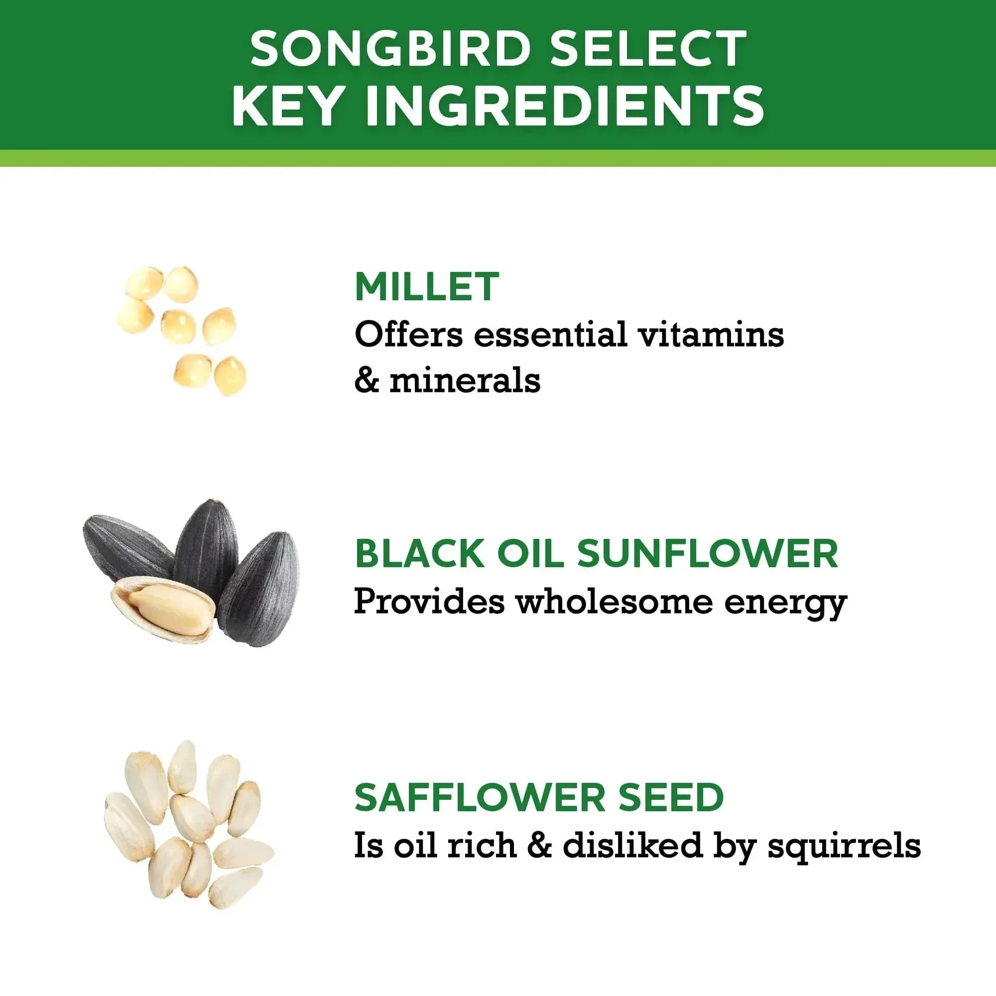 Vibrant Life Songbird Select Wild Bird Seed, 20 lb Bag - USA MEGA SHOP