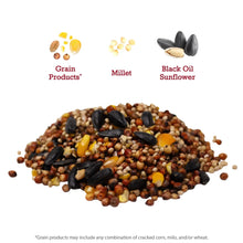Mixed wild bird seed with black oil sunflower and millet, shown in a pile