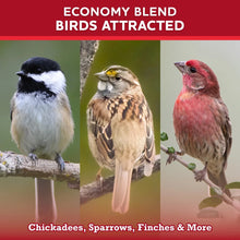 Wild bird seed blend birds-attracted graphic with chickadees, sparrows, and finches