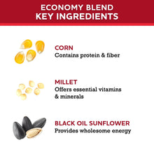 Wild bird seed blend key ingredients graphic showing corn, millet, and black oil sunflower