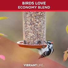 Bird feeding from an orange tray with a hanging container filled with mixed seed
