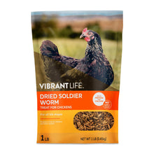 Dried soldier worm treat bag with orange label and chicken photo, 1 lb