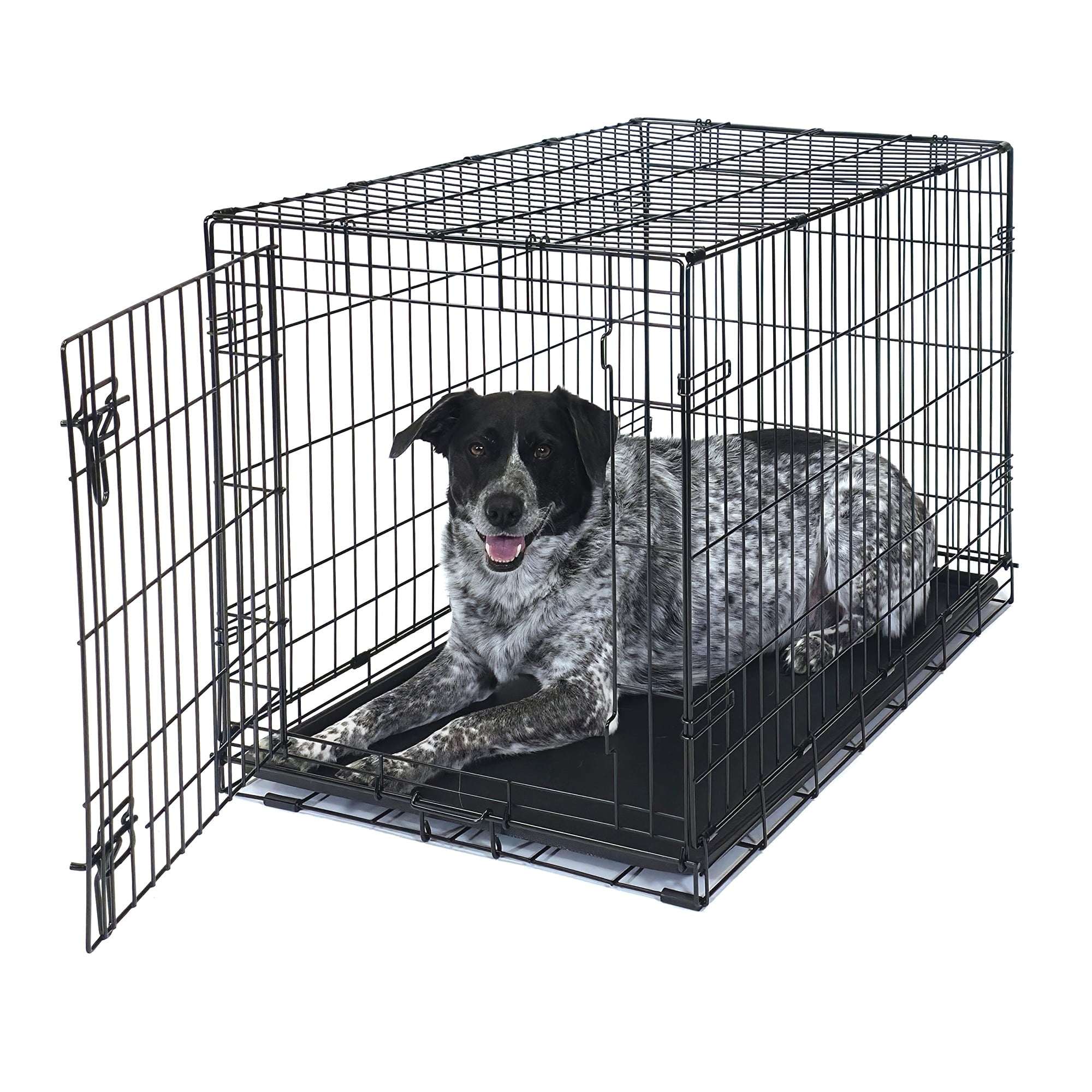 Vibrant Life Foldable 22" Wire Crate for Dogs with Divider and Leak-Proof Tray