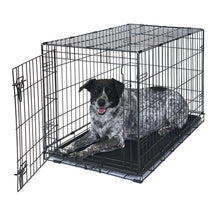 Foldable wire dog crate with divider and leak-proof tray, shown with a resting dog