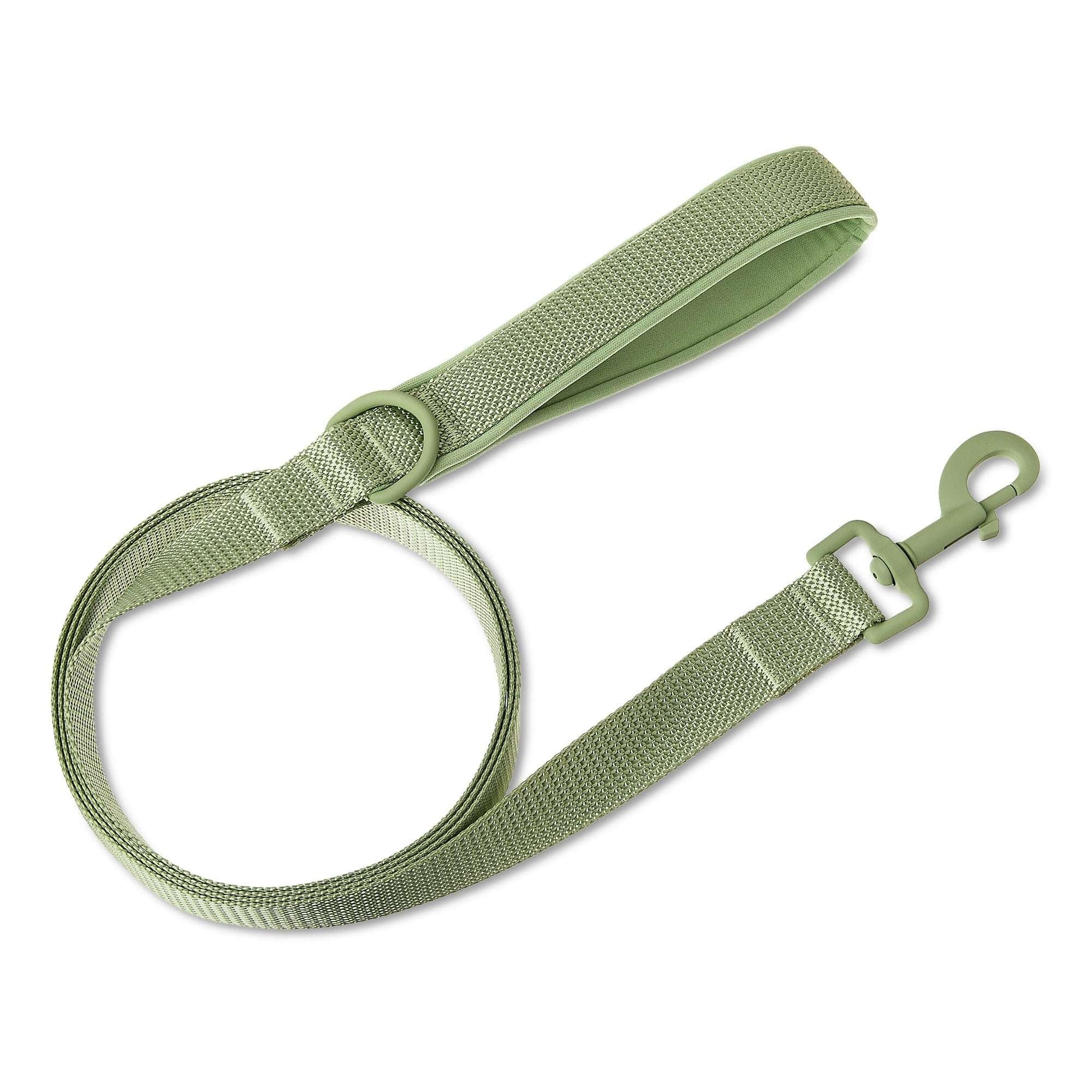 Vibrant Life Neoprene Cushioned Monochrome Leash for Medium & Large Dogs, Soft Blue, 6 ft