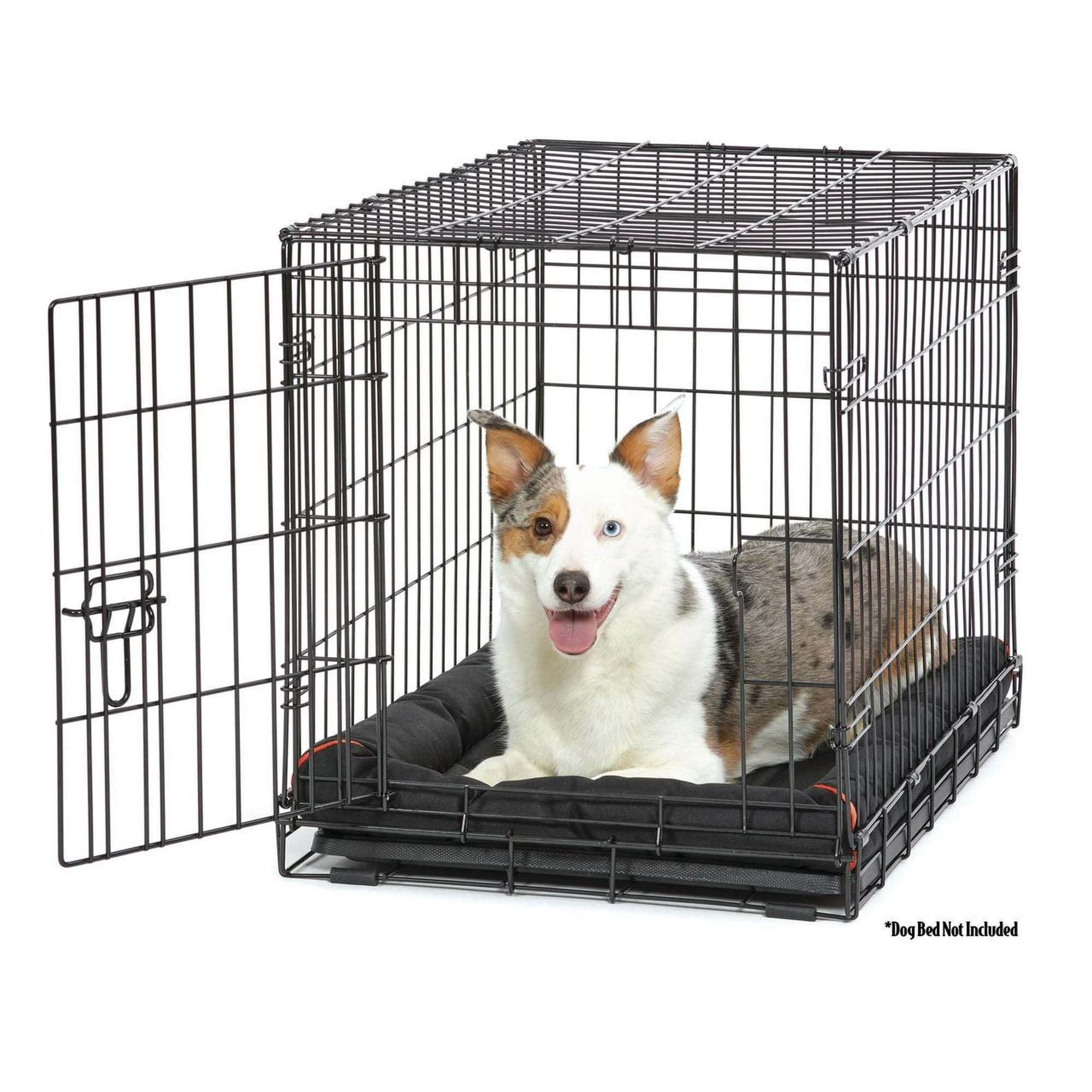 Vibrant Life Foldable 22" Wire Crate for Dogs with Divider and Leak-Proof Tray