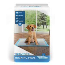 Large pet training pad pack with blue top sheet and dog on pad, 50 count