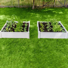 Two white raised garden beds with mixed seedlings in dark soil on grass
