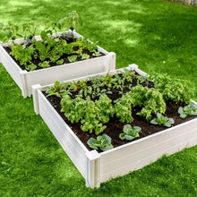 Close view of raised white garden bed with herbs and vegetables in dark soil