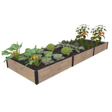 Modular raised garden bed with wooden frame, black panels, and planted seedlings