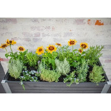 Elevated garden planter filled with yellow blooms and green herbs in a raised bed